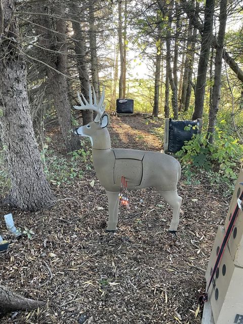 3D Archery Target