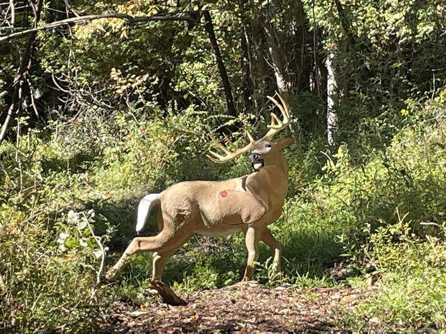 3D Archery Target