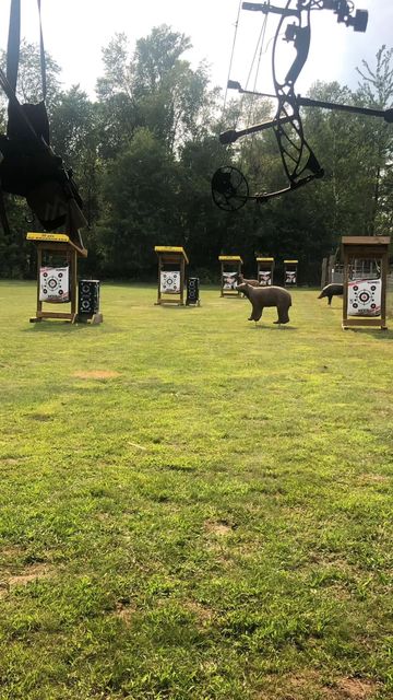 3D Archery Range