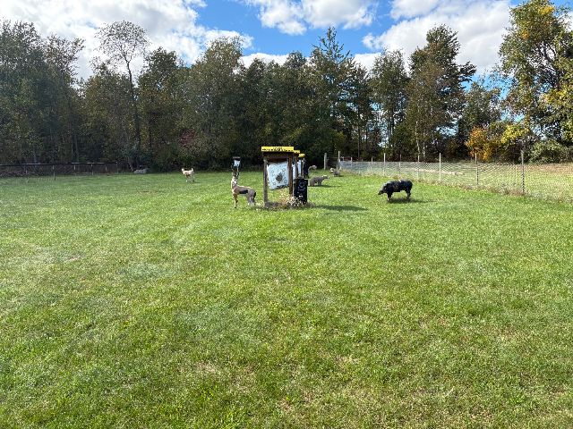 Archery Range